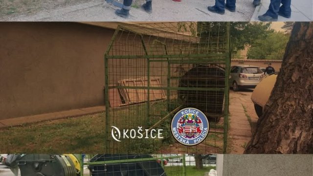 Mestská polícia Košice zasahovala v rámci preventívno-bezpečnostnej akcie na Severe. V Parku na Komenského ulici napomenula päť ľudí za požívanie alkoholu na verejnosti