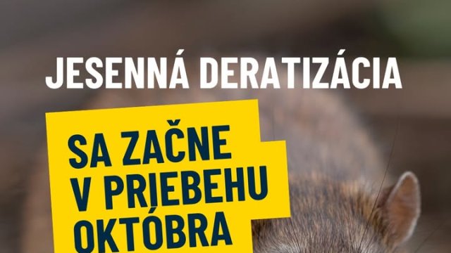 Košice čaká celoplošná deratizácia: RÚVZ ju nariadil od 15. októbra do 30. novembra 2026.