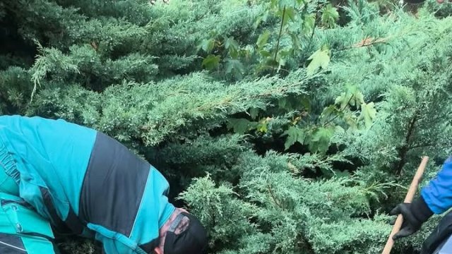 Na košickom sídlisku Nad jazerom tento týždeň zintenzívnili čistenie chodníkov a verejných priestranstiev.